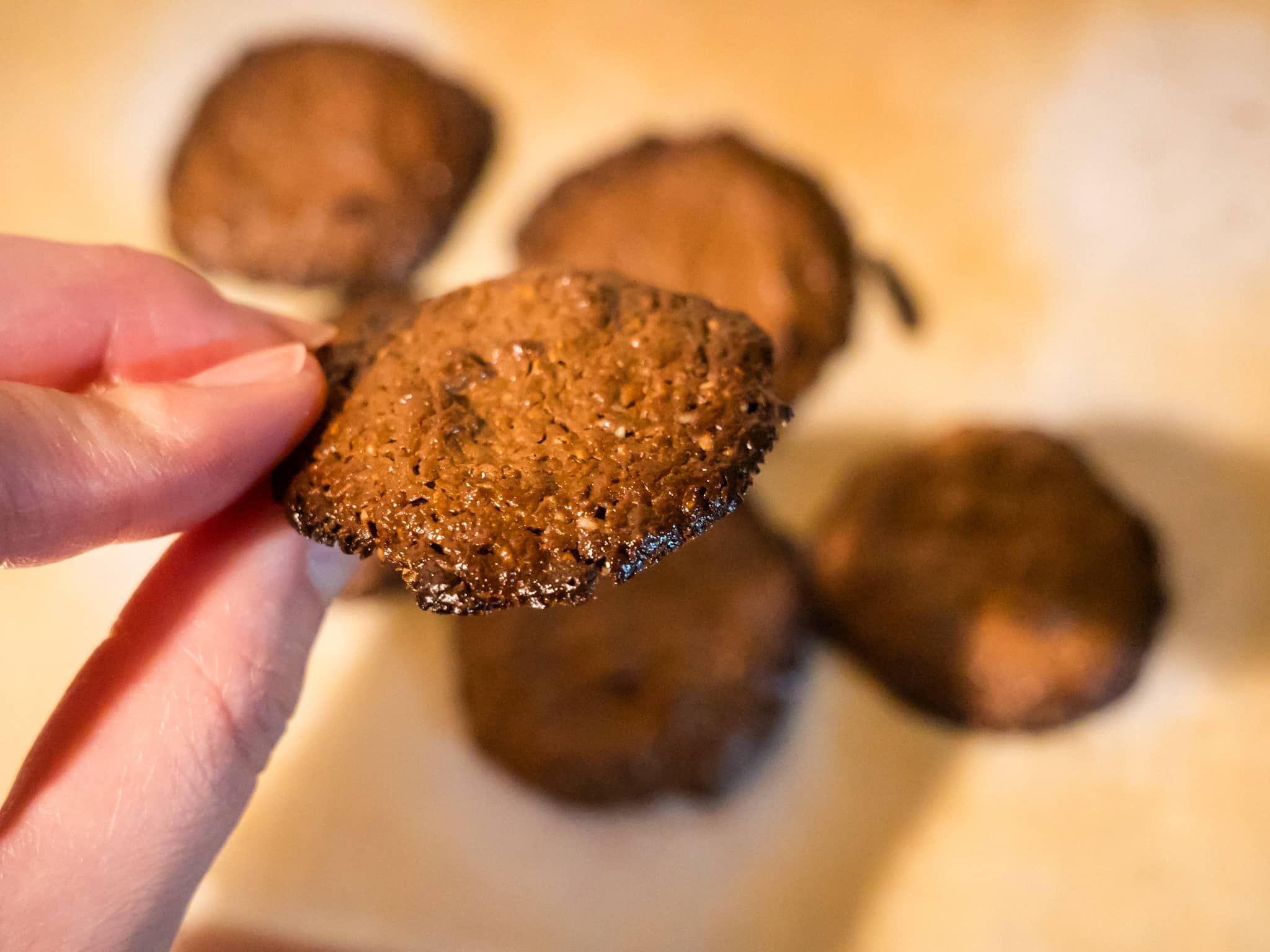 チョコ オートミール 焼きチョコ クッキー